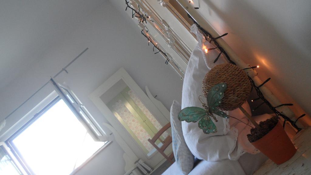 Apartment Sanja Primošten Dış mekan fotoğraf