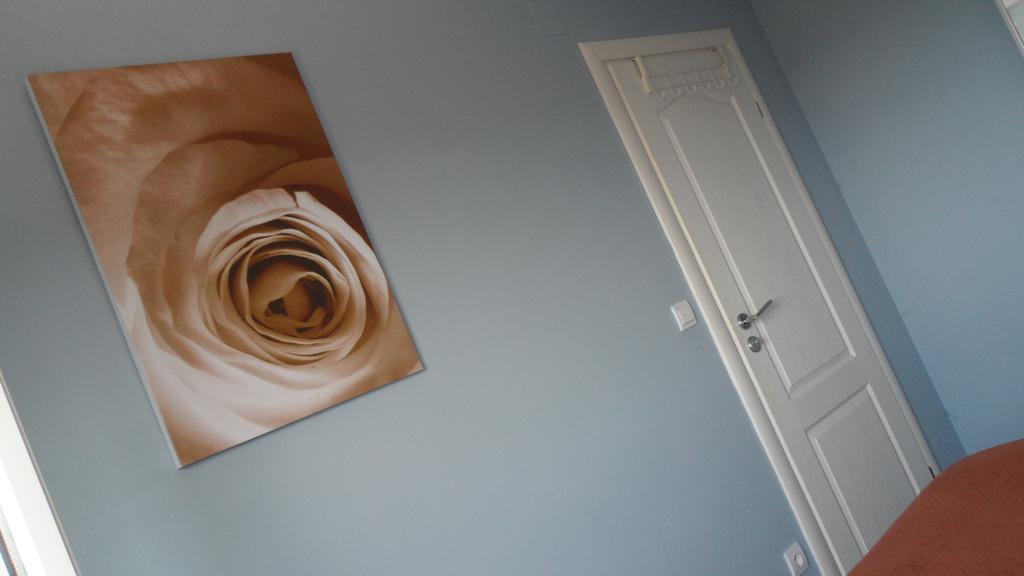 Apartment Sanja Primošten Dış mekan fotoğraf
